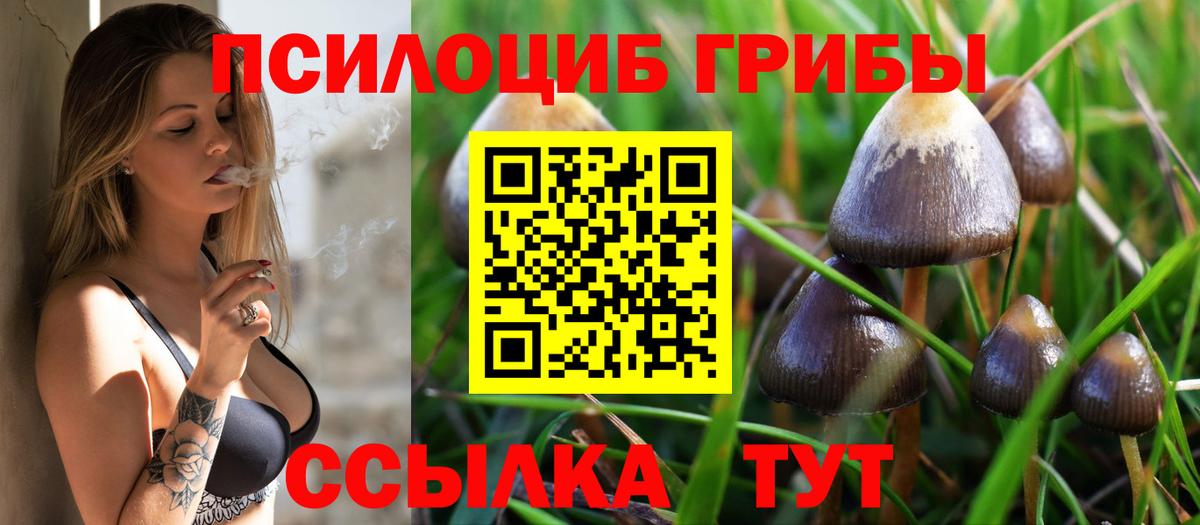 Дзержинск  Галлюциногенные грибы мицелий  Псилоцибиновые грибы MAGIC MUSHROOMS  Вход с VPN 